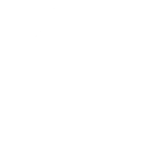 Baton